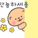 킹콩스시 이미지