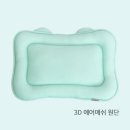 반려켄넬 이미지