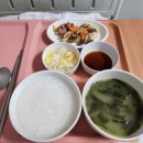 대구 북구 로즈마리병원 제왕절개 후기 (우주최강쫄보 후기)