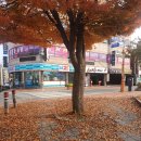홍주한복