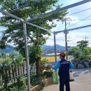 박준호농장 | 전원주택소독컨설팅시스템(소독, 예초작업)