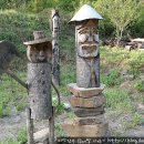 거북이민박 이미지