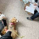 정가축병원 이미지