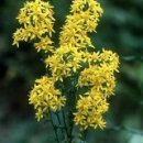 황화약국 이미지