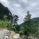 홍천 대룡산오토캠핑장 후기 | 깨끗하고 조용한 계곡캠핑장