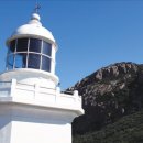 홍도축산 이미지