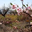 문촌1리 이미지