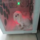 오늘도 신나개 이미지