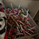 들안로 | 대구 수성구 들안로 핫플 | 이자카야 오레노 아지토 방문 후기