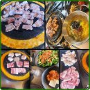 신마포갈매기 이미지