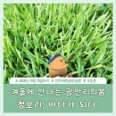 도시몰운대임대아파트(다대5지구) | [壬지니의-탄생][청년-을해乙亥][얼핏 설핏][방랑객-풍운아][을경합금乙庚合金][금이-수가-된-사연]