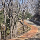 황토어린이집 | 부산진구 엄광산 황토길(황톳길) 세족장 위치 맨발숲길 정보