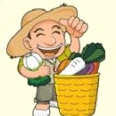 웰빙로하스에버 | [친환경,로하스]놀이공원 지고, 녹지공원은 뜨고