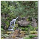 신례동로 이미지