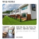 펫티움애견펜션 | 강원도 홍천 강아지 국내 여행 애견동반펜션 펫티움 추천 후기