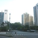 스타빌약국 Daum카페