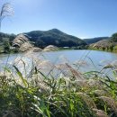 웅천 소류지 이미지