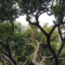 창선농장 이미지