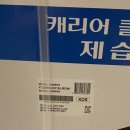 고고써치