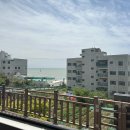 부산 2일차 : 블루라인파크 미포 청사포 왕복 후기