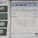 서울신은초등학교 | 신정학원/과학체험/신은초/지향초/강월초] "반짝반짝 야광 탱탱볼 만들기" 과학 실험 행사 후 생생후기!