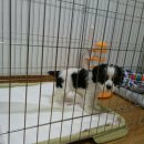 하랑약국 이미지