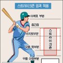 야구 경기규칙(2) 이미지