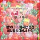 끌리네일 네이버블로그
