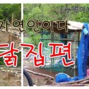 자연닭집 이미지