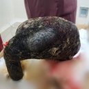 오늘더예쁜눈(오늘The예쁜눈) 이미지