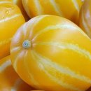 보화농장 이미지