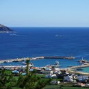 당근바다 이미지