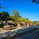 별빛하루 이미지