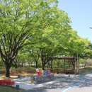 볼래로 문화거리 이미지