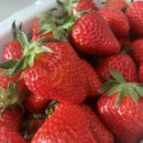 유봉농장 이미지