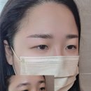 디자인 펌킨
