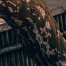 시간무늬 이미지