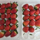 명기농장 이미지