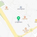 신지농장 | 블루베리농장 신지블루베리 근교 블루베리농장 위치 비용 후기