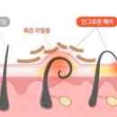 란헤어 - 금천구 | 란헤어