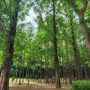 서울숲 생태숲 화장실 이미지