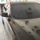 지오 외형복원 이미지