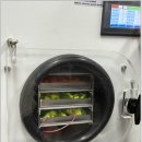 (11/15)반려동물 수제간식 댕치킨 | 부산 신라대학교 I-URP 반려동물산업특화센터