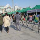 사우문화체육광장 이미지