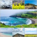 319,000원/봄맞이 제주도 찬란한여행/우도오션뷰/속살투어/2.25-3.3(6박7일)신청 이미지