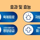 세화약국 이미지