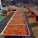 자연종합농원 이미지