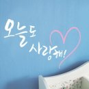 디자인단비