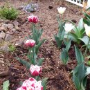 환영농장 이미지