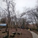 샘물숲어린이집 | 제주도 겨울여행 _ 교래자연휴양림 두번째 &#34;초가체험&#34;